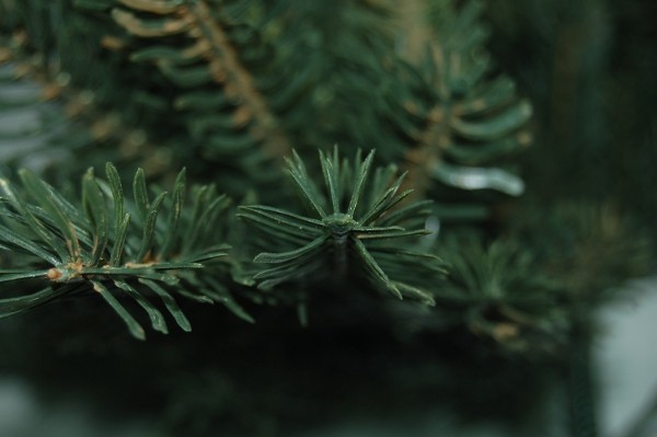 BURI PE-Weihnachtsb&auml;ume